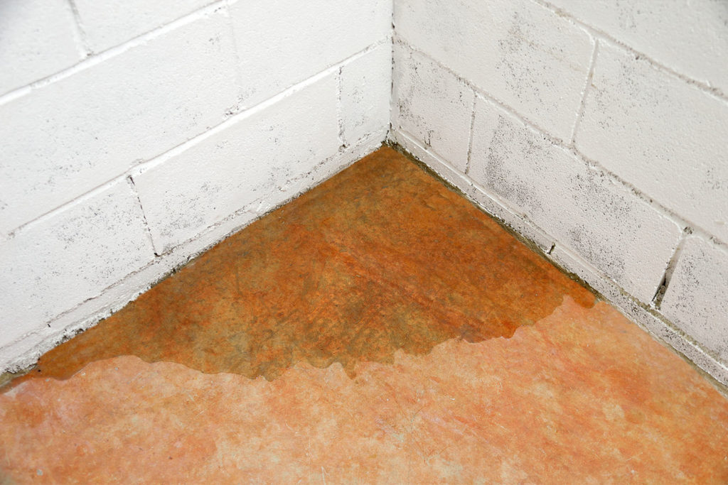 Basement fills with water